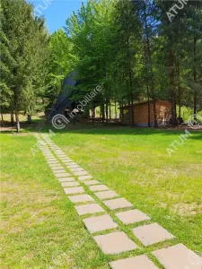 Casa tip A Frame de inchiriat in localitatea Avrig zona Valea Avrigului,Porumbacu de Sus - foto 6