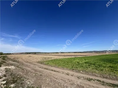 De vanzare teren intravilan de 8150 mp situat in Sibiu zona Calea Surii Mici - foto 3