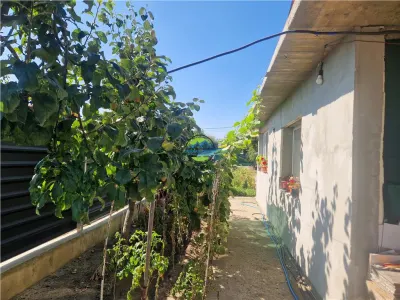PUCHENII MARI - Casa de Vanzare - foto 7