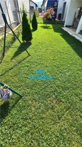 Casa noua Alba Micesti,112 mp utili,4 camere,garaj,215000 euro. - foto 2