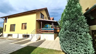 Casa de vanzare 4 camere ,garaj 410 mp teren ,Alba Micesti - foto 2