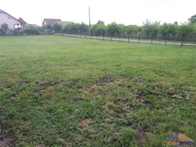 TEREN VETIȘ 1000mp - foto 5