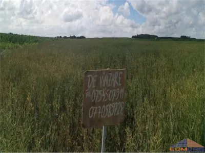 TEREN INTRAVILAN ÎN DECEBAL - foto 2
