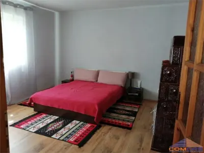 CASA DE VANZARE IN IOJIB - foto 5