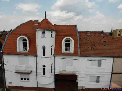 Vila de vanzare -16 camere - Satu Mare - Zona Dara - foto 2