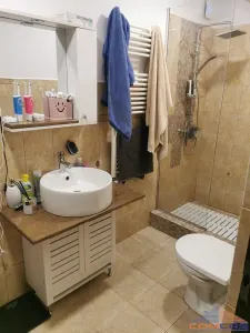 Casa de vanzare zona Titulescu - foto 6