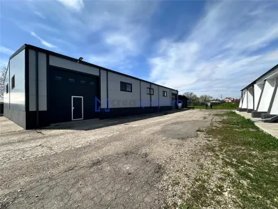 Hale Tg. Neamt, bd. St. cel Mare, depozitare, de la 250mp la 2000mp - foto 19