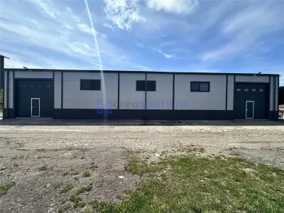 Hale Tg. Neamt, bd. St. cel Mare, depozitare, de la 250mp la 2000mp - foto 5