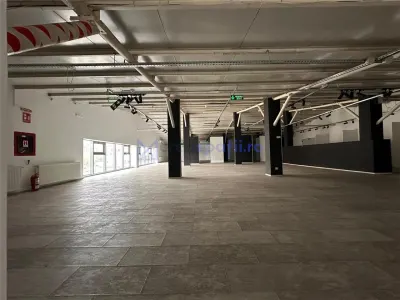 Hala, showroom sos. Pacurari Iasi, zona Mall Moldova, 1310mp - foto 5