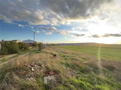Teren hale Letcani - Skoda, proiect, 15813mp - foto 5