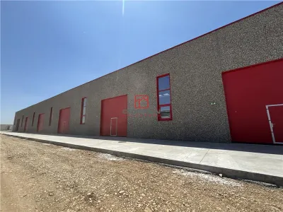 Vanzare depozit/spatiu industrial/hala Chitila - Rudeni, ILFOV - Chitila