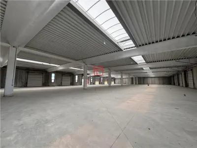 Vanzare depozit/spatiu industrial/hala Chitila - Rudeni, ILFOV - foto 4