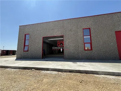 Vanzare depozit/spatiu industrial/hala Chitila - Rudeni, ILFOV - foto 7