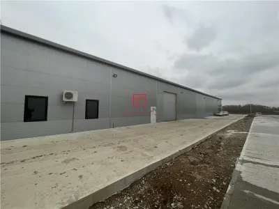 Vanzare depozit/hala/spatiu industrial Chiajna - Centura - Rudeni - Chiajna