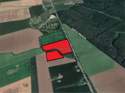 Vanzare teren Ciolpani - Potigrafu - DN1, Ilfov - Ciolpani