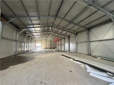 Inchiriere depozit/hala/spatiu industrial Jilava - Giurgiului - foto 14