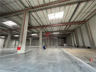 Inchiriere depozit/hala/spatiu industrial Theodor Pallady - Cernica - A2 - Manolache - foto 15