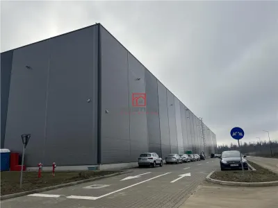 Inchiriere depozit/hala/spatiu industrial Theodor Pallady - Cernica - A2 - Manolache - foto 7