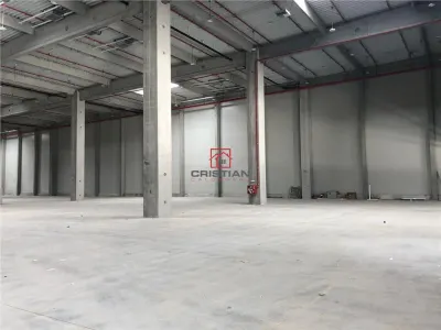 Inchiriere depozit/hala/spatiu industrial Bolintin Deal - A1 - KM23 - foto 11