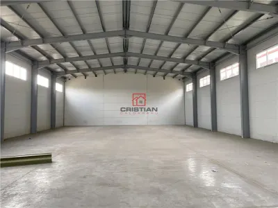 Vanzare depozit/hala/spatiu industrial Theodor Pallady - Drumul Intre Tarlale - Oxigenului - foto 12