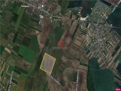 Vanzare teren agricol extravilan Tartasesti - Gulia, Dambovita - foto 2