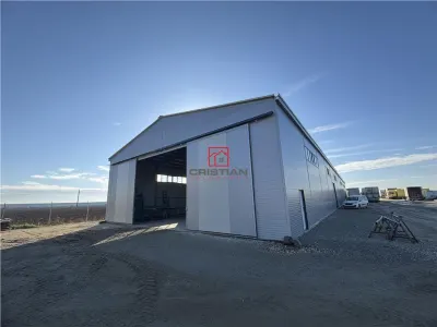 Inchiriere depozit/hala/spatiu industrial Bolintin Deal - A1 - KM23 - foto 4