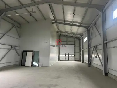 Inchiriere depozit/hala/spatiu industrial Domnesti - Centura - Domnesti
