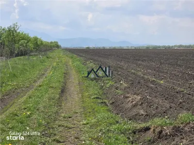 Oportunitate de investiție cu Exclusivitate! BOD, teren agricol! - Bod