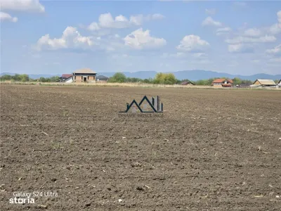 Oportunitate de investiție cu Exclusivitate! BOD, teren agricol! - foto 3