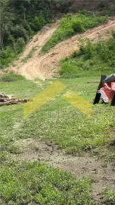 Teren intravilan 2.635 mp Savarsin ideal casa sau investitie - foto 2