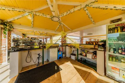 Oportunitate investitie domeniu de agrement si sala de evenimente de vanzare - foto 3