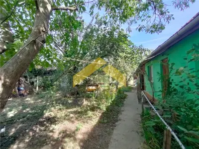 Casa de vanzare in Bodrogu Vechi - foto 7