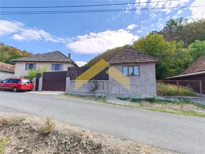 Casa de vanzare localitatea Cladova, judetul Arad - foto 16