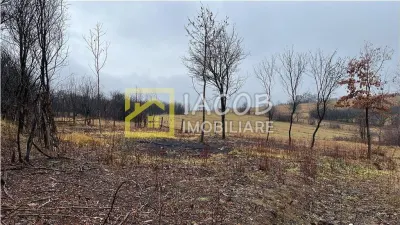 Teren de vanzare Ardeoani / Strada Livezilor - foto 2