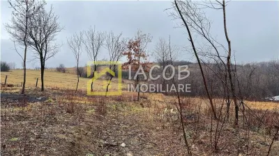 Teren de vanzare Ardeoani / Strada Livezilor - foto 3
