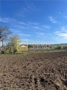 Teren intravilan 2554 mp, com. Prajesti, jud. Bacau - foto 6