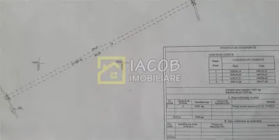 Teren 4269 mp com. Letea Veche, jud. Bacau - Letea Veche