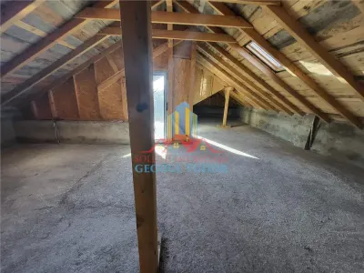 Vanzare casa Bolintin vale / Malu spart - foto 19