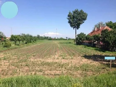 Terenuri  de vanzare - Satu Mare