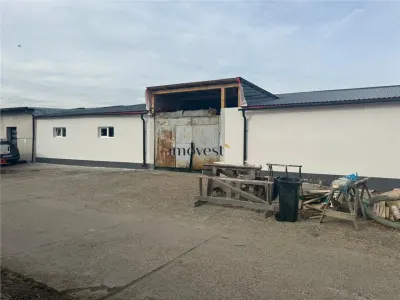 Hale industriale de închiriat  Parc industrial Careiului, Satu Mare - foto 3