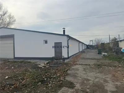 Hale industriale de închiriat  Parc industrial Careiului, Satu Mare - foto 6