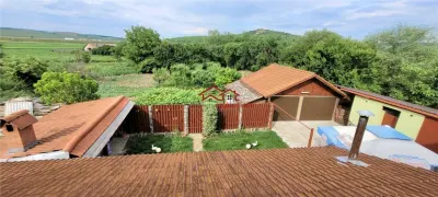 casa Apoldu de Jos,jud.Sibiu,oportunitate afacere,comision 0 - foto 4