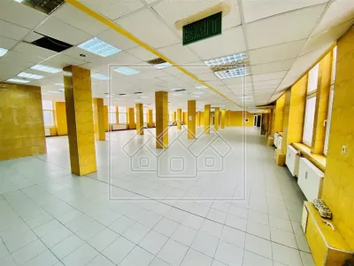 Spatiu industrial si de birouri in zona Terezian - finisaje moderne - foto 3