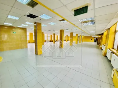 Spatiu industrial si de birouri in zona Terezian - finisaje moderne - foto 5