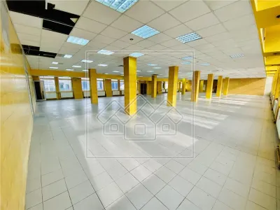 Spatiu industrial si de birouri in zona Terezian - finisaje moderne - foto 8
