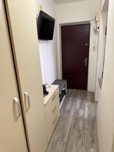 Apartament 2 camere mobilat  Central - foto 5