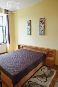 Apartament 2 camere de inchiriat Ultracentral - foto 17