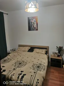 Apartament cu 2 camere linga Judetean - foto 2