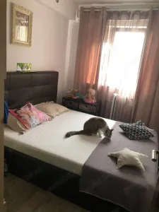 Amenajat complet linga piata Doina - foto 4