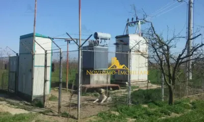 NOVISIMO IMOBILIARE: HALA DE INCHIRIAT IN ZONA BUCOV - foto 2